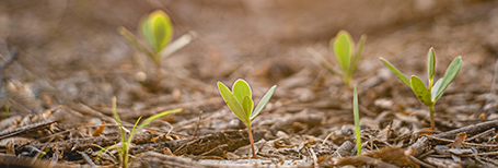 GB/T 39604 Social Responsibility Management Systems