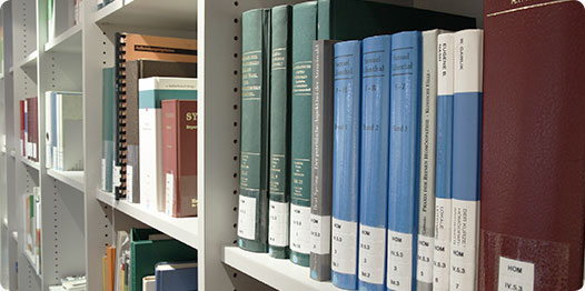 在校學生與應屆畢業生