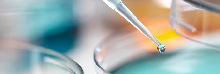 電子/常規化學品檢測